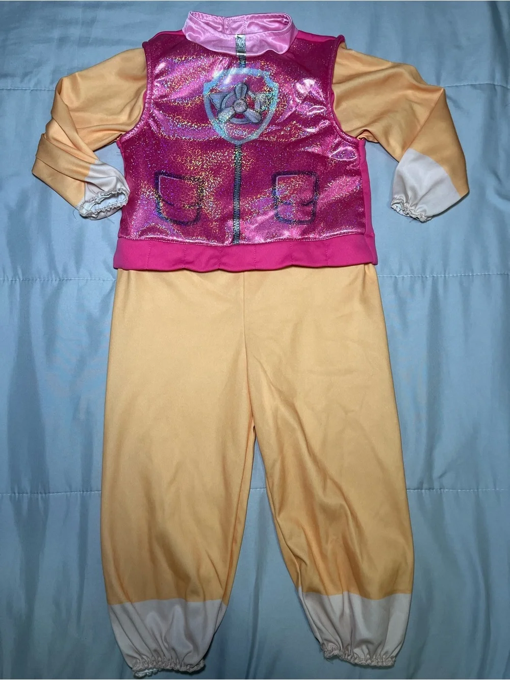 Toddler PAW Patrol Skye costume